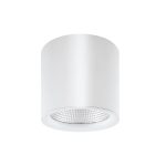 چراغ سقفی COB روکار 40 وات شعاع مدل SH-6022