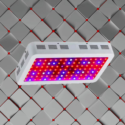 عکس-دسته-بندی-محصولات-رشد-گیاه